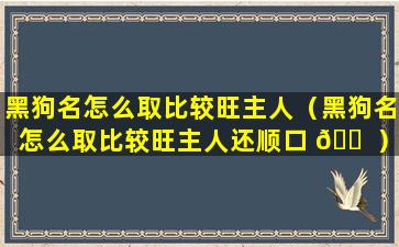 黑狗名怎么取比较旺主人（黑狗名怎么取比较旺主人还顺口 🐠 ）